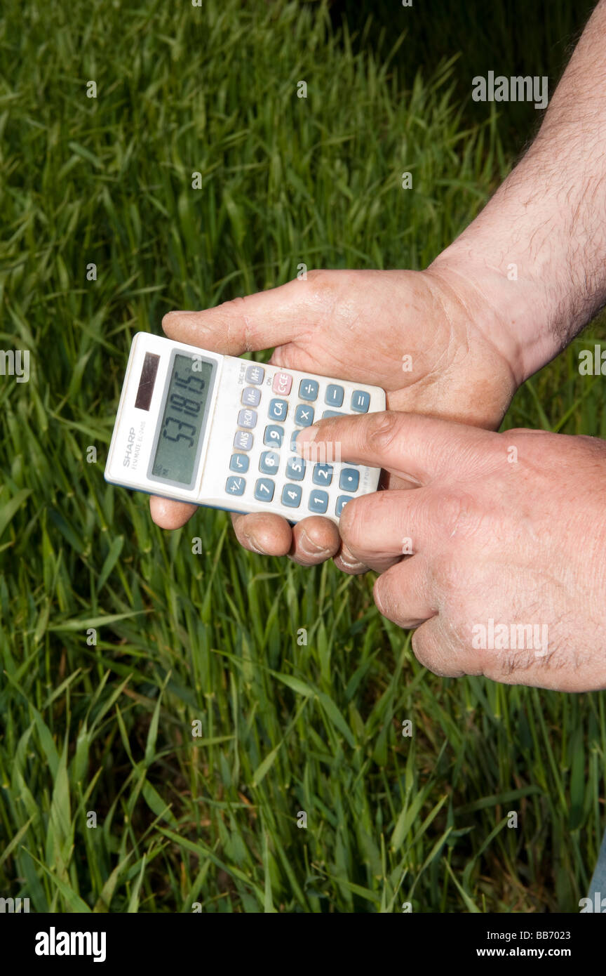 Farmer in field using a calculator Hartlepool Stock Photo