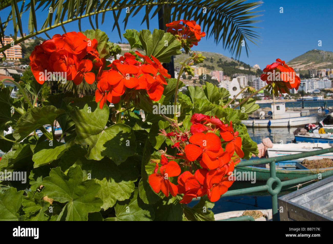 Marina in city of Saranda Republic of Albania an important tourist destination on the Albanian Riviera Stock Photo