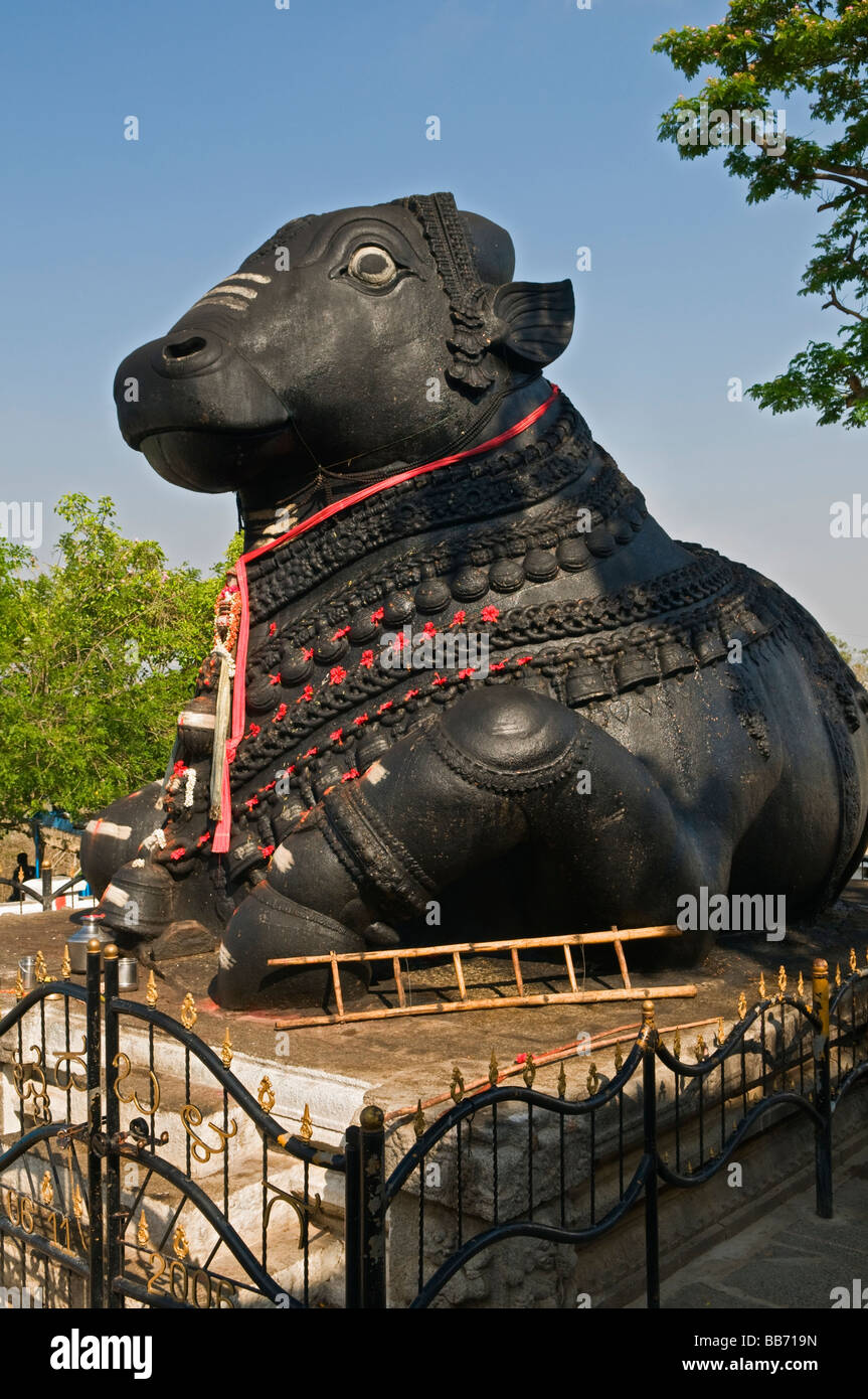 Nandi Shrine Chamundi Hill Mysore Karnataka India Stock Photo - Alamy