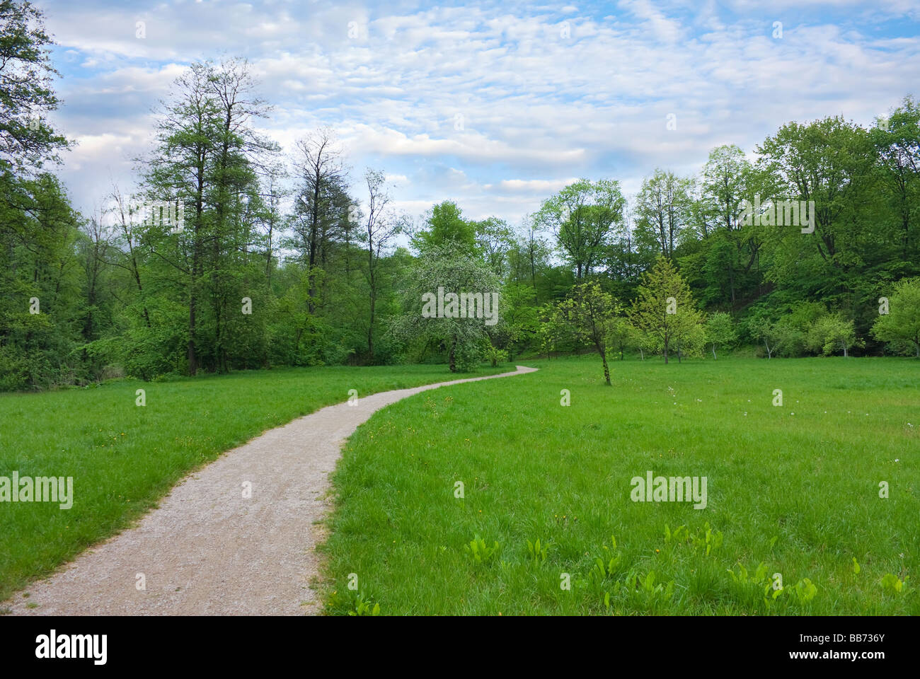 trail in the park spring Stock Photo