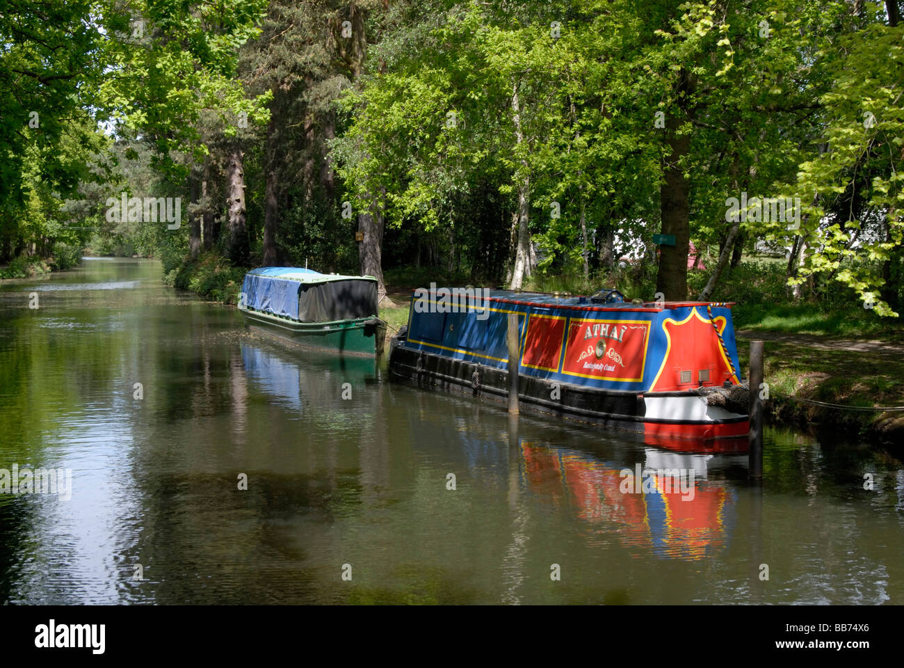 Narrowboats moored on a wooded stretch of the Basingstoke Canal, Mytchett, Surrey, England Stock Photo