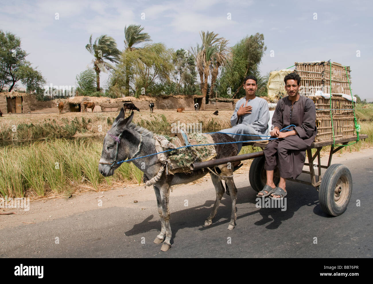Egypt Farm Farmer agriculture field old village on the Nile river near ...
