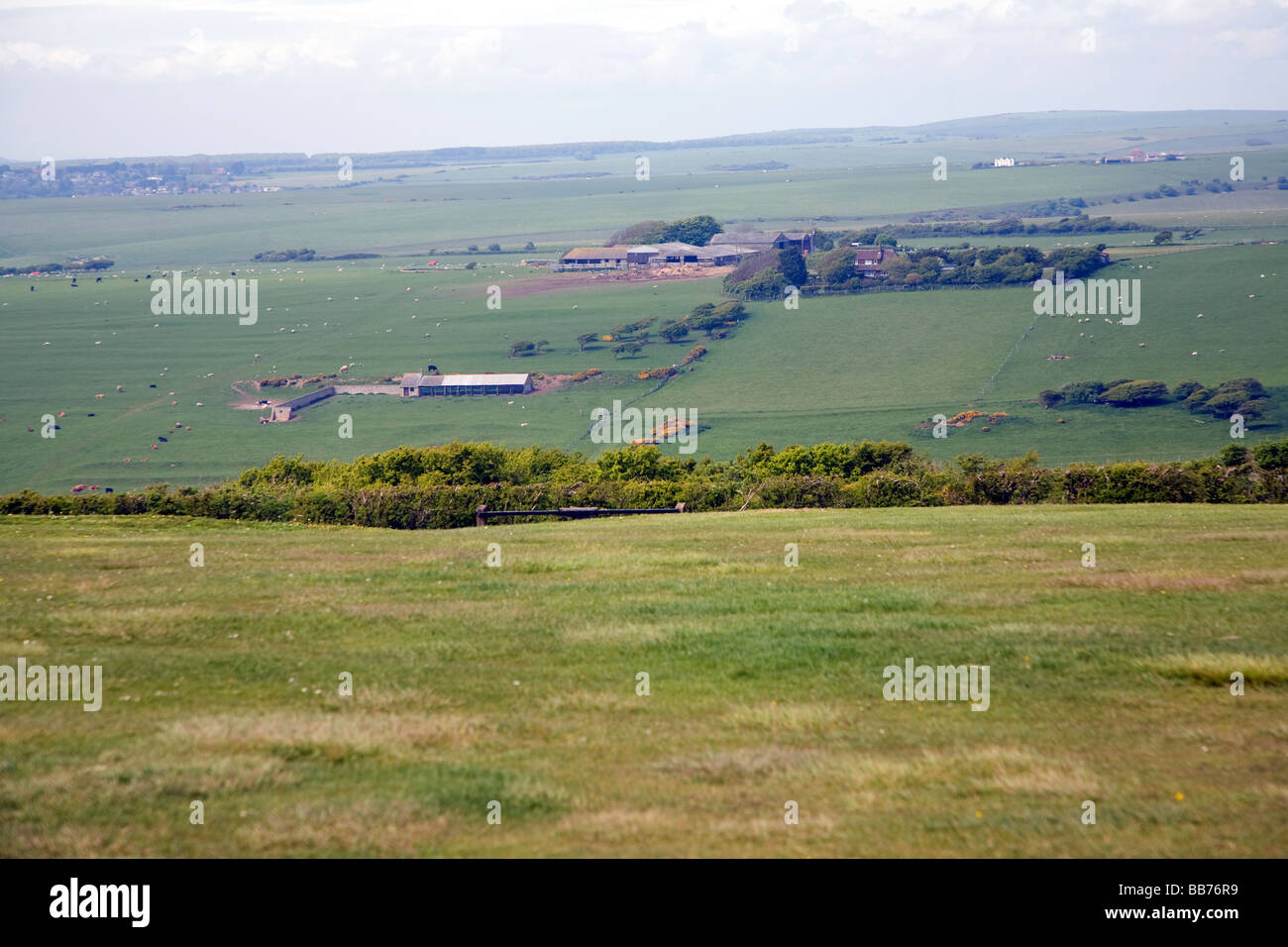 Chalk landscape South Downs Stock Photo