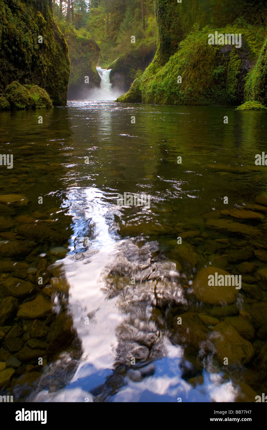 Punch Bowl Falls Eagle Creek Oregon Columbia United States North
