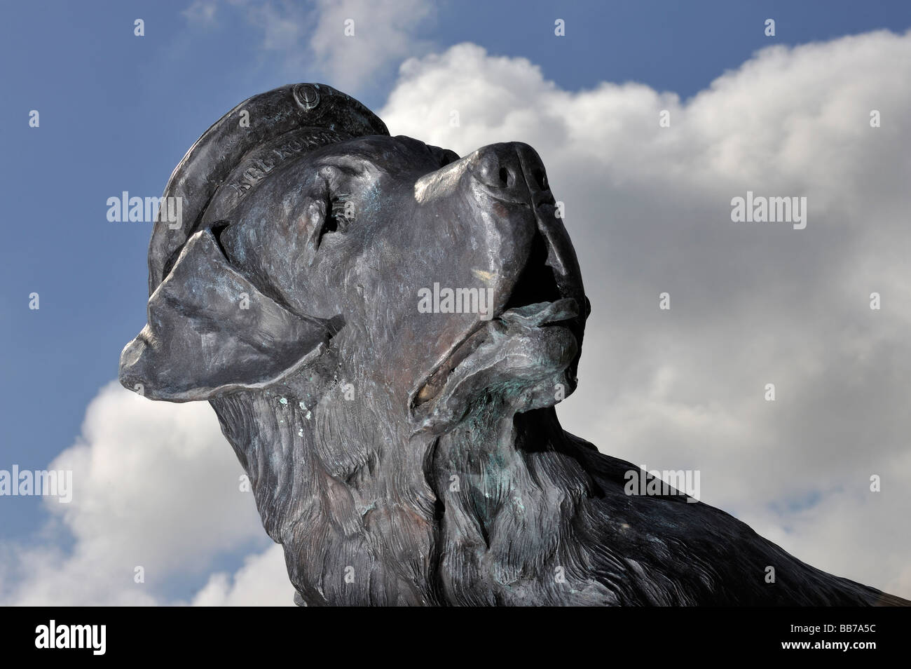 Statue of Bamse largest dog in the Allied Forces World War 2 Stock Photo
