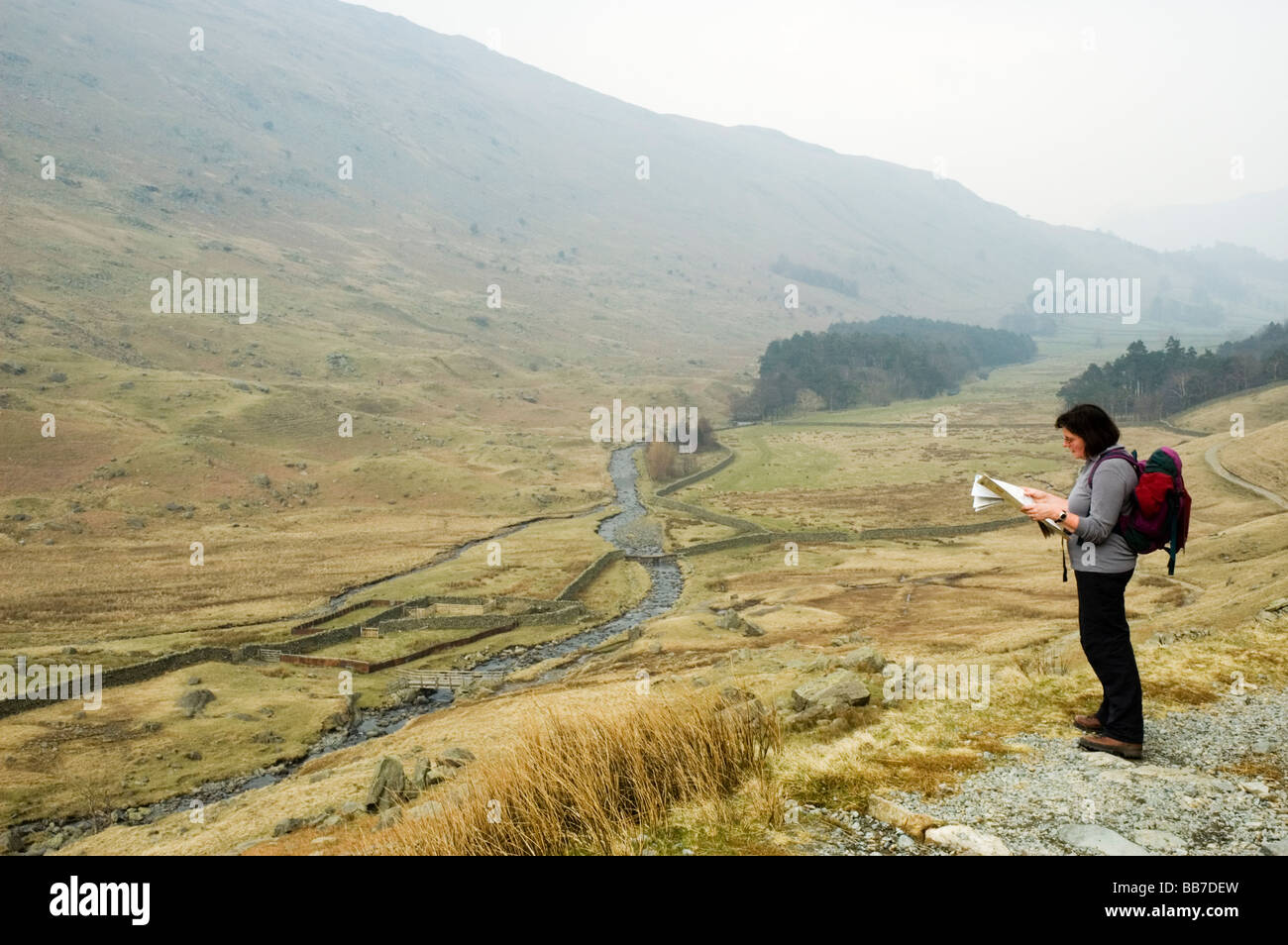 Female walker consulting map in Grisedale, Lake District National Park, England. Stock Photo