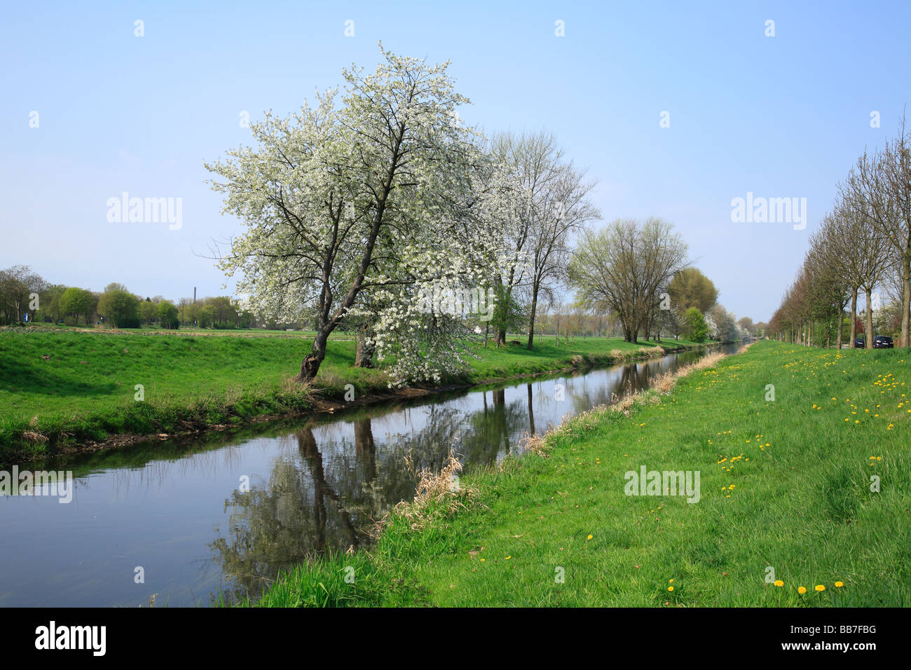 Flusslandschaft der Niers im Fruehling, Baumbluete, Stadtgrenze zwischen Viersen und Willich-Neersen, Niederrhein, Nordrhein-Westfalen Stock Photo