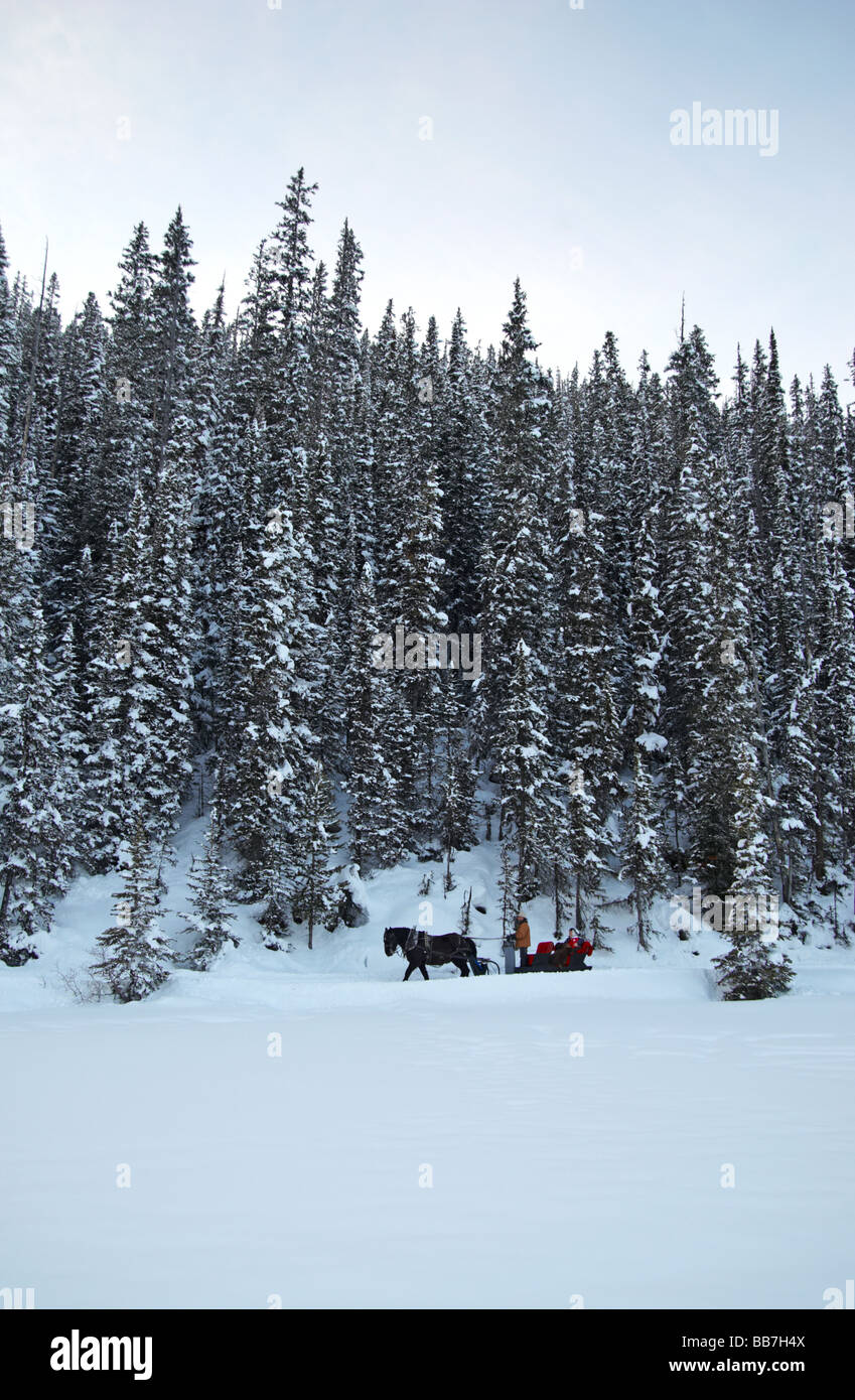 Sleigh ride along frozen lake shore of Lake Louise, Banff National Park