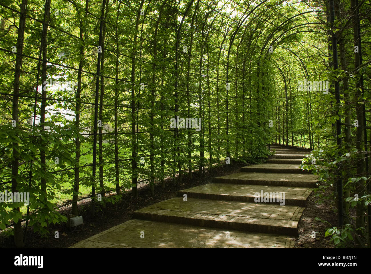 Covered Walkway, Alnwick Gardens, Northumberland Stock Photo Alamy