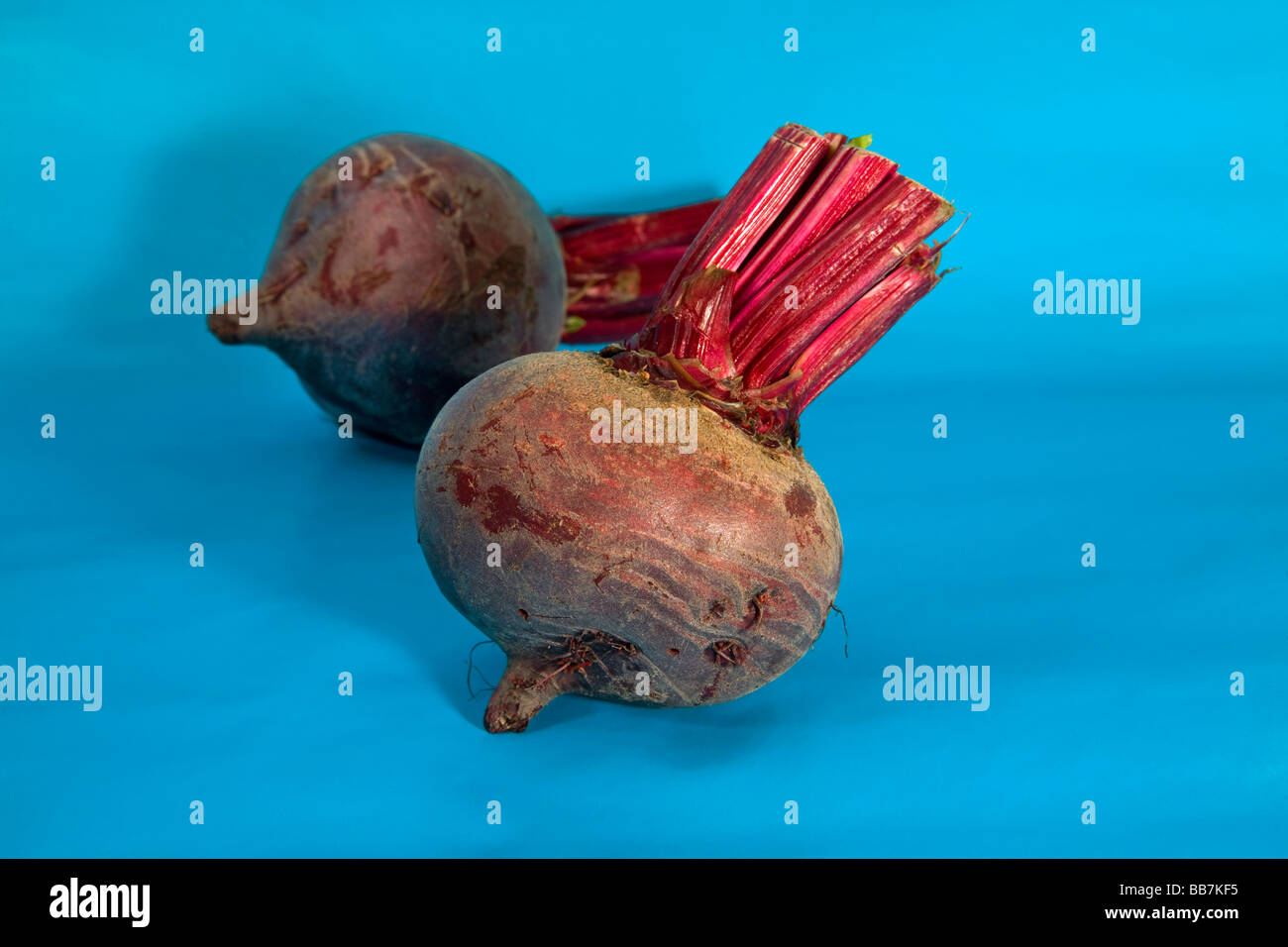 Sugar beet root hires stock photography and images Alamy
