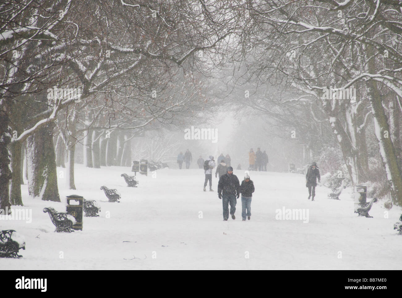 Regents Park in winter London England UK Stock Photo