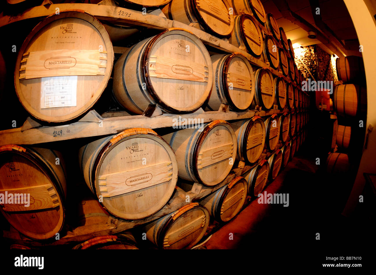 Italian Wine Cellar Stock Photo Alamy
