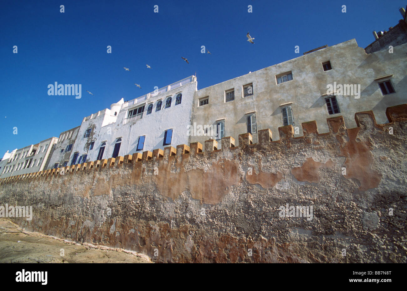Fortress wall with moroccon houses of the medina of Essaouira, Morocco Stock Photo