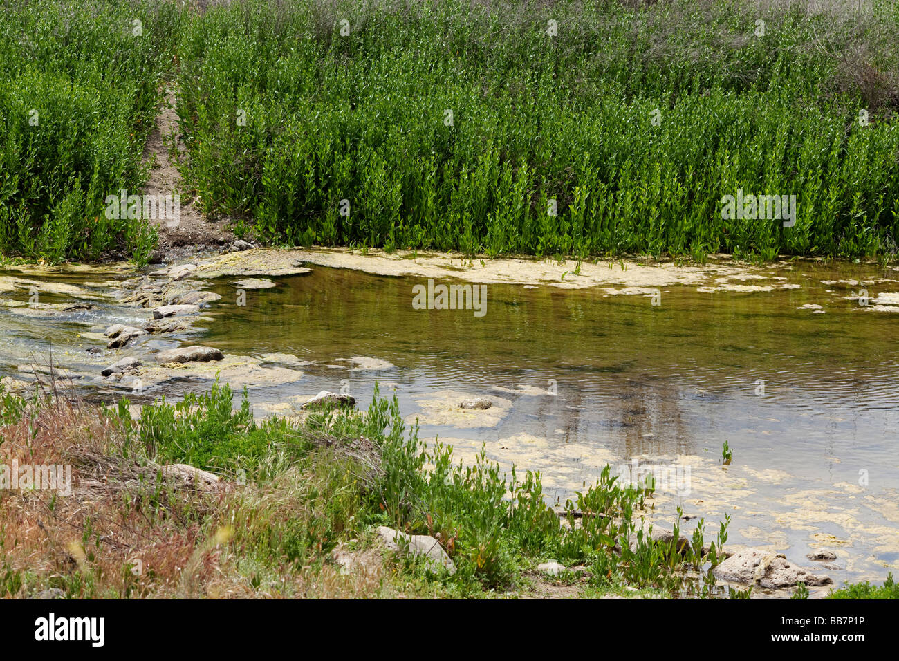 River Crossing Malibu Creek State Park Calabasas Los Angeles LA Stock Photo