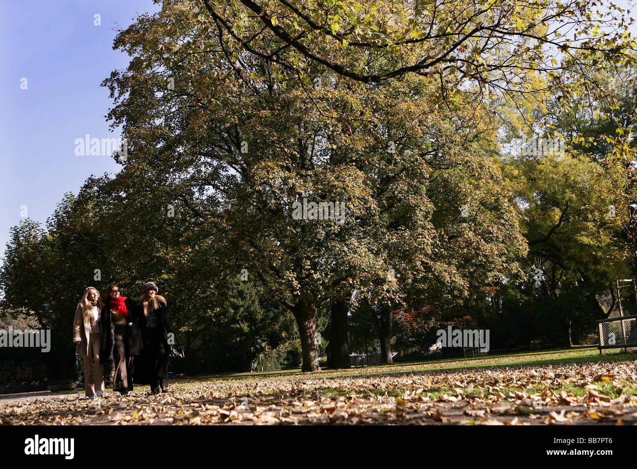 three women are walking in a park with trees in automn Stock Photo - Alamy