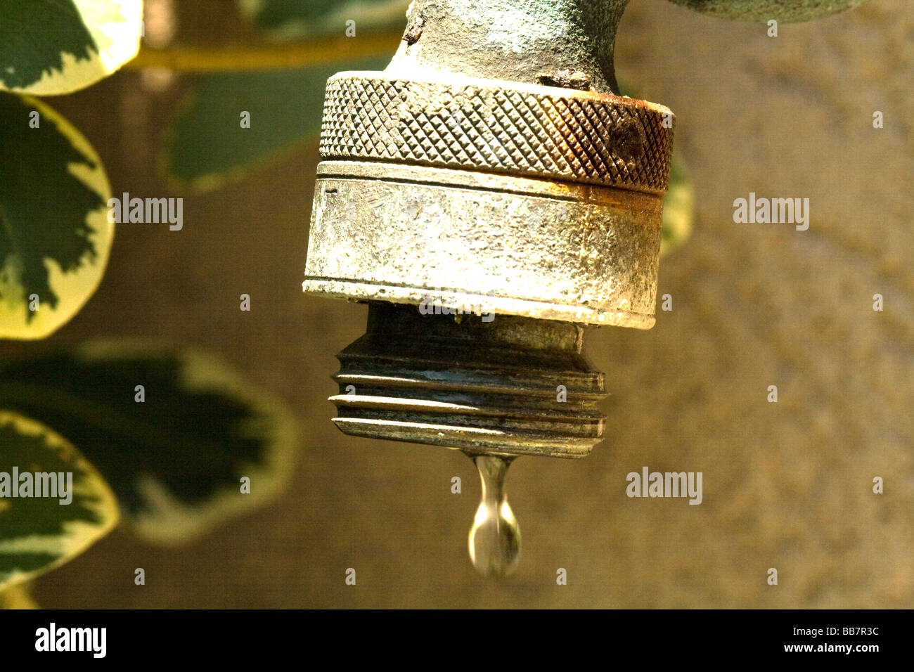 Single drop of water coming out of a metal outdoor spigot Stock Photo