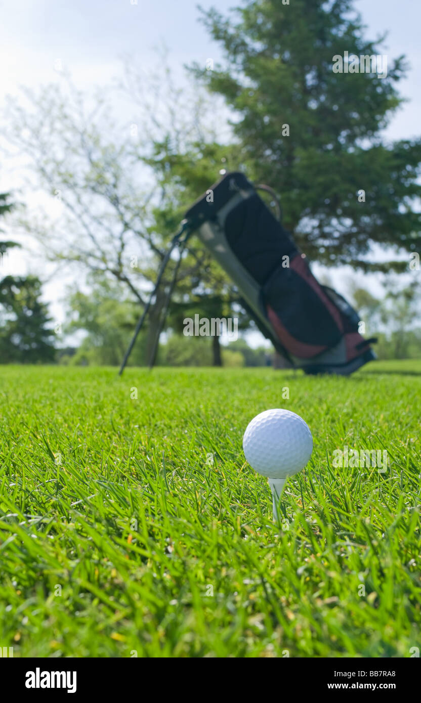 Golf ball on fairway Stock Photo Alamy