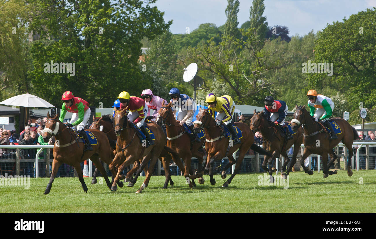 Faulkingham Races Fakenham racing hi-res stock photography and images - Alamy