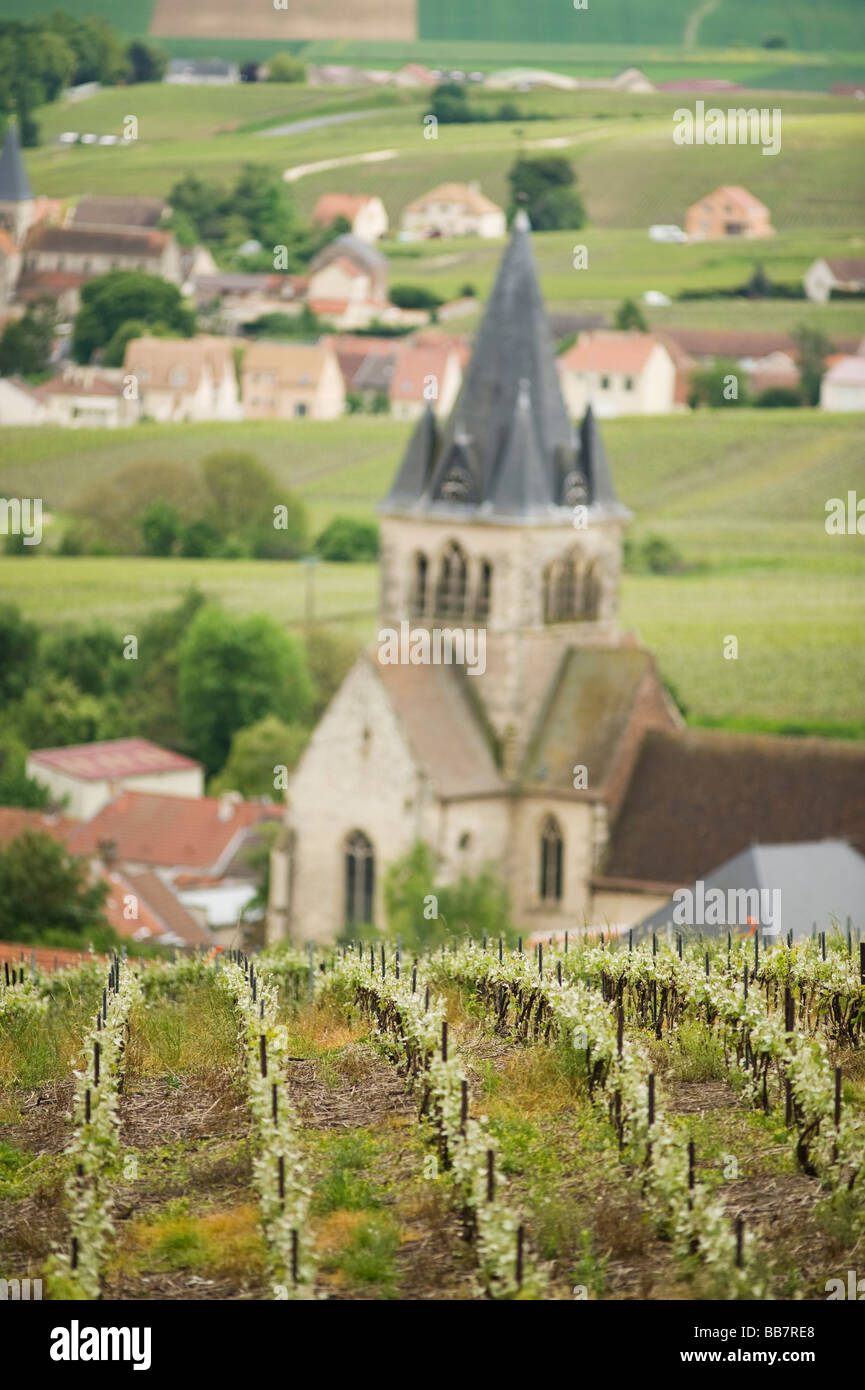 Champagne vineyard ville dommage village hi-res stock photography and ...