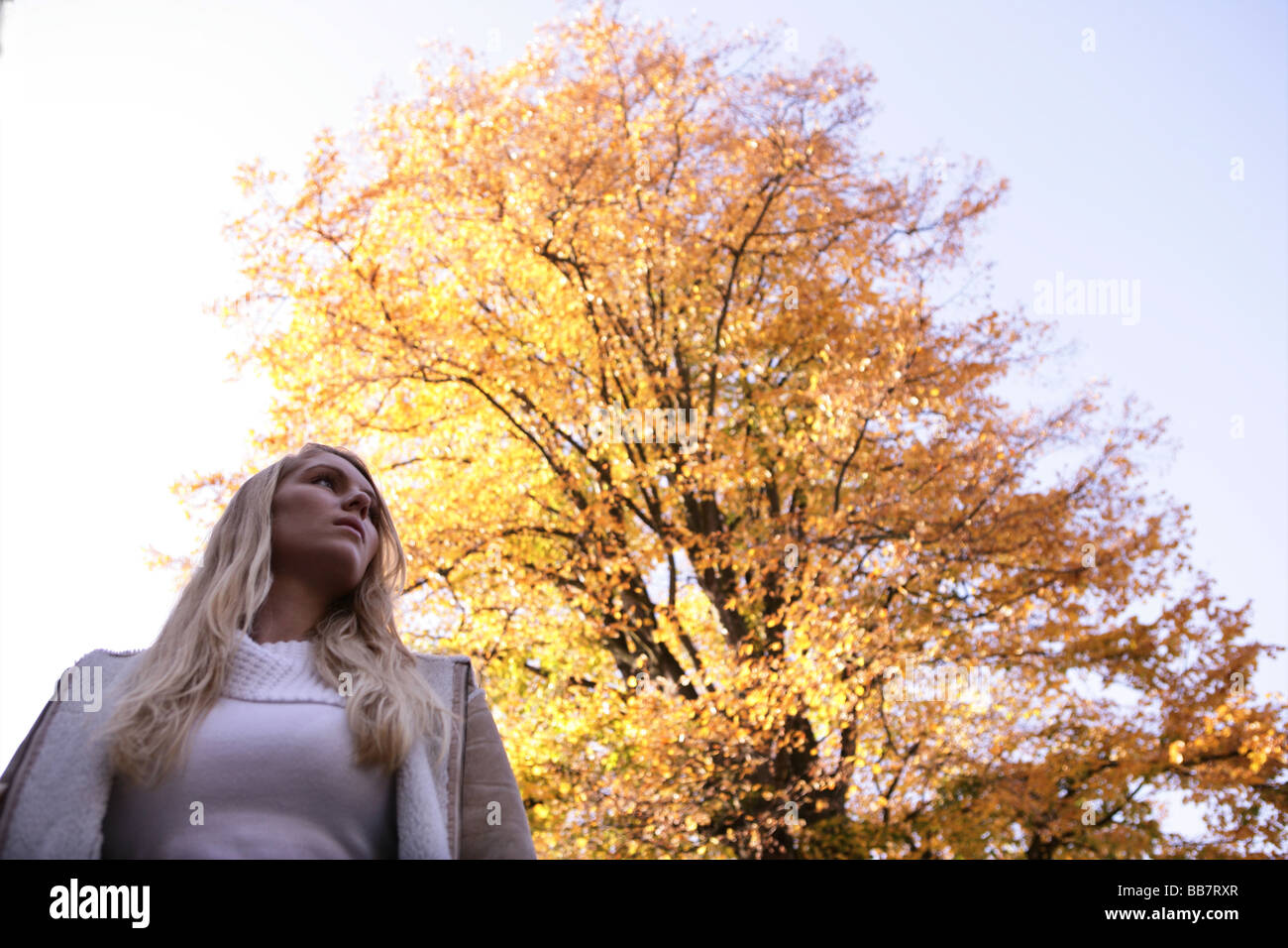 woman in front of a tree in automn Stock Photo - Alamy