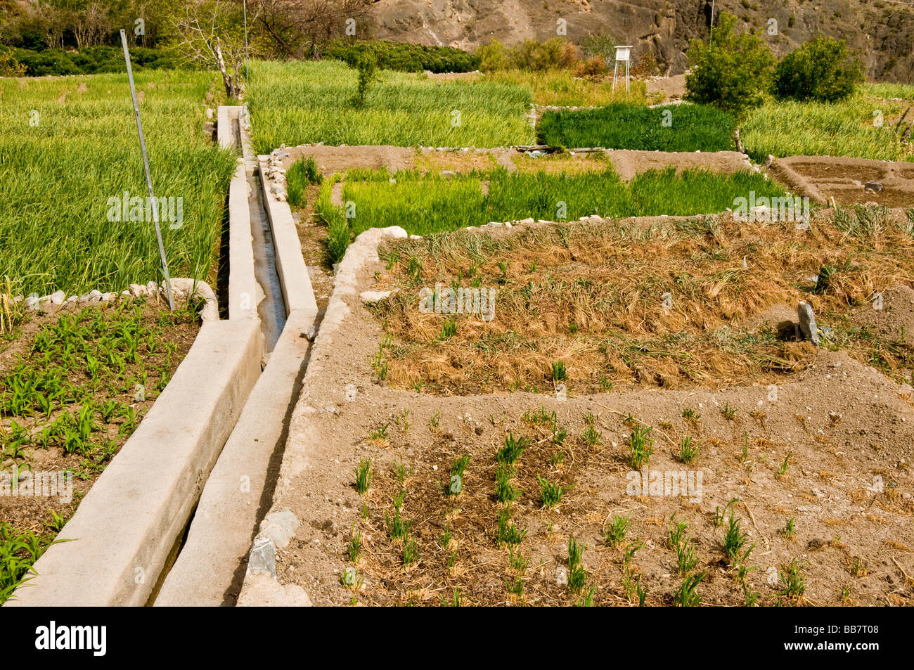 Scenery with Water irrigation system Falaj in Jabal el Akhdar Sultanate of Oman Stock Photo