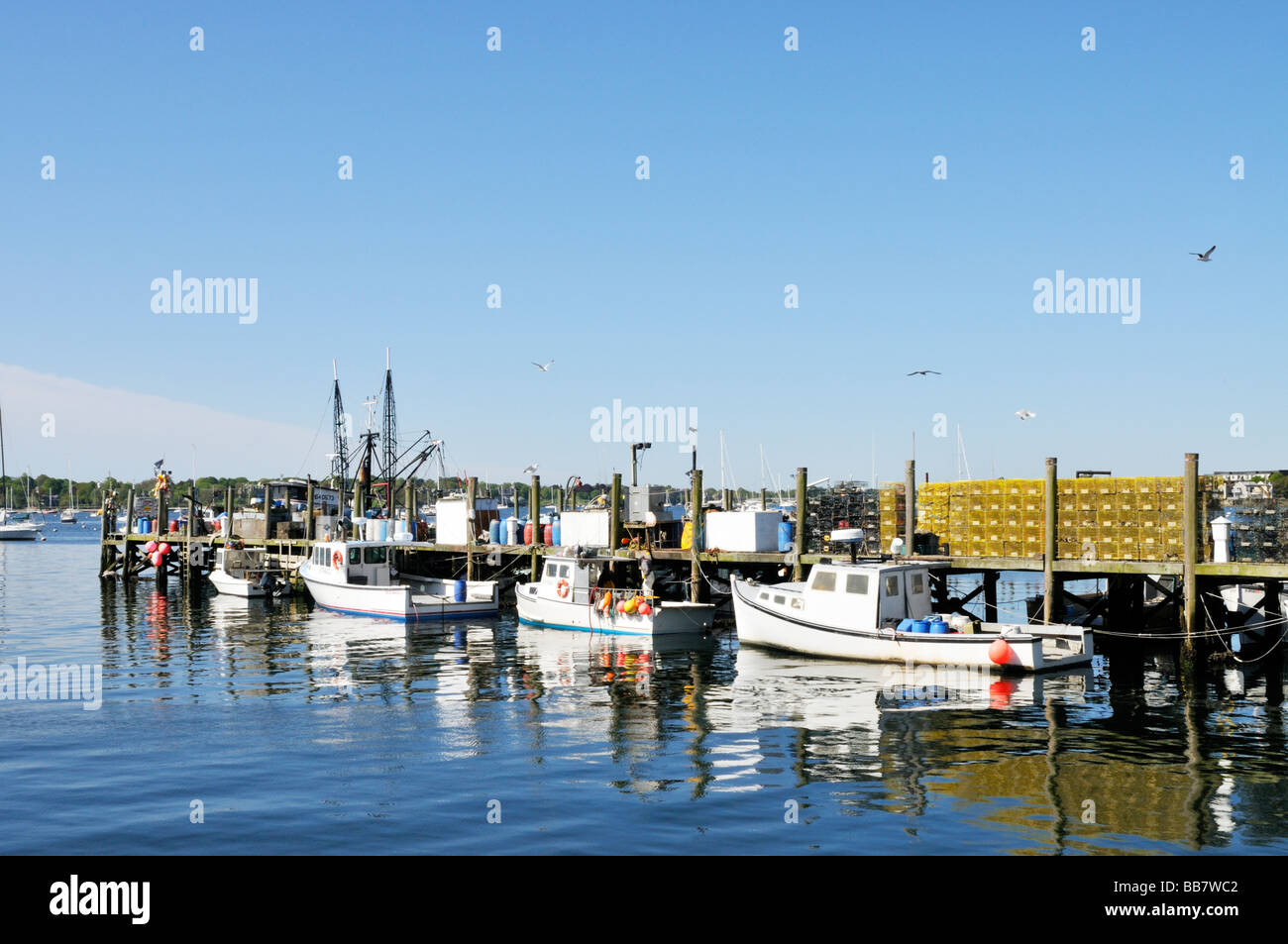 Lobster boat and seagulls hires stock photography and images Alamy