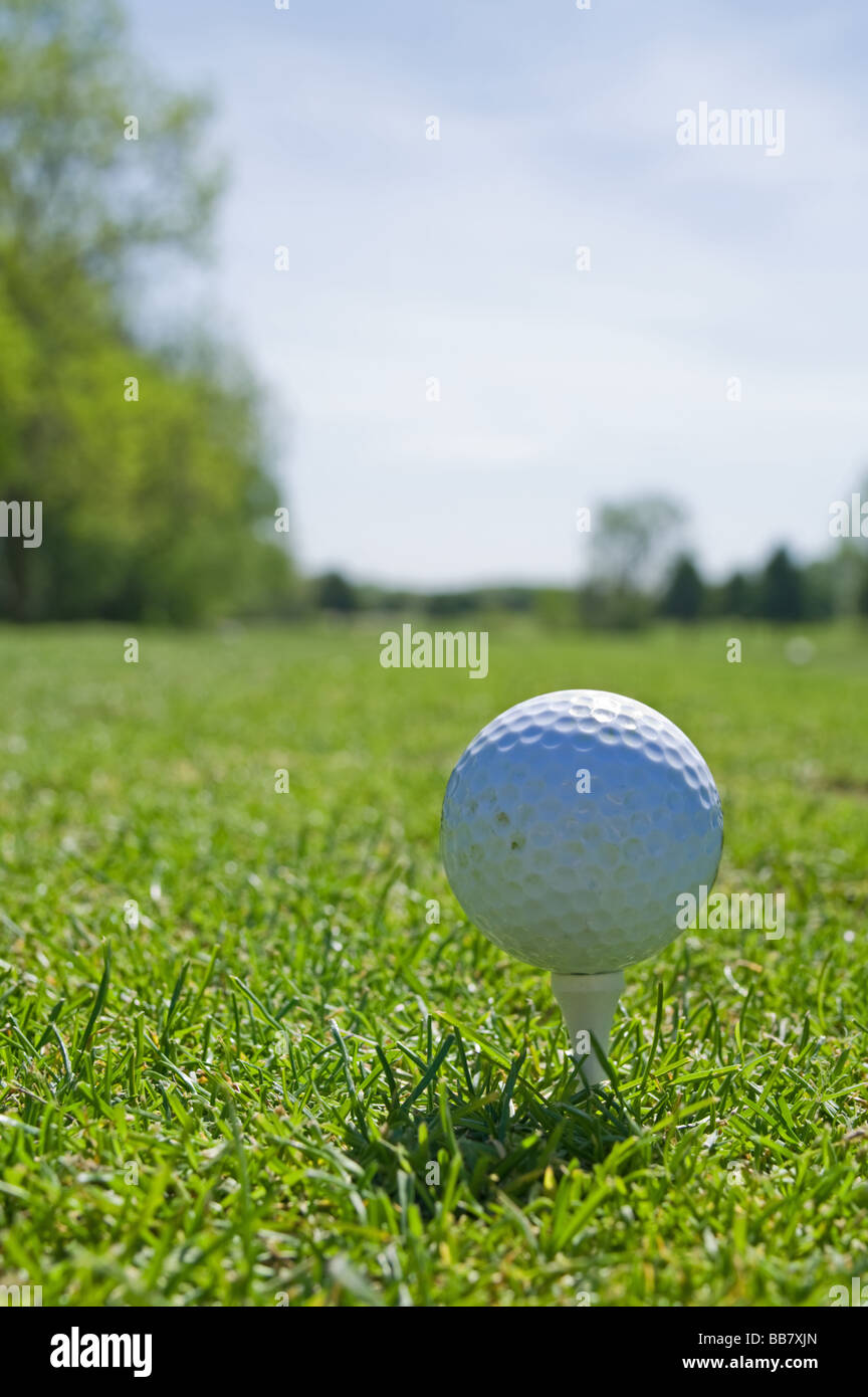 Golf ball on fairway Stock Photo Alamy