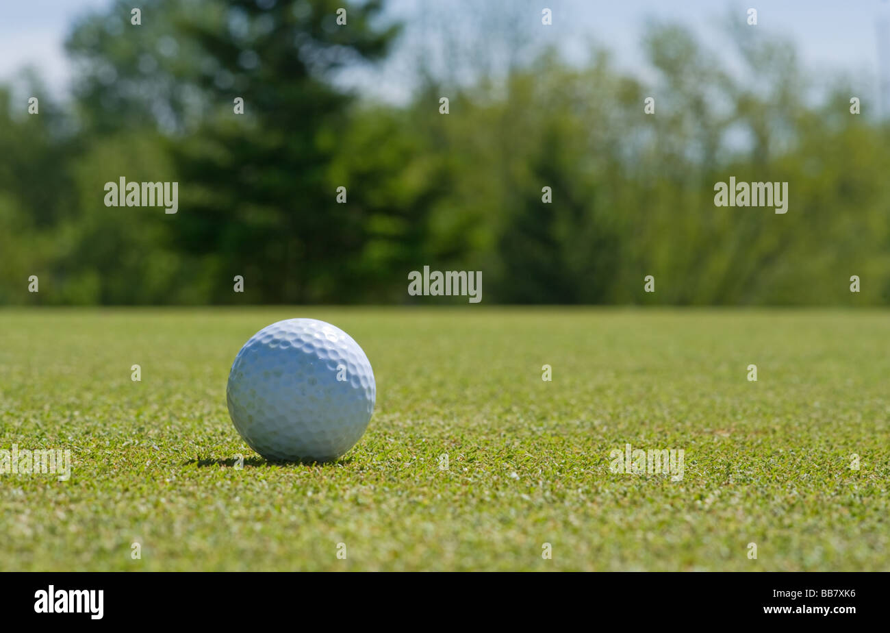 Golf ball on the putting green Stock Photo Alamy