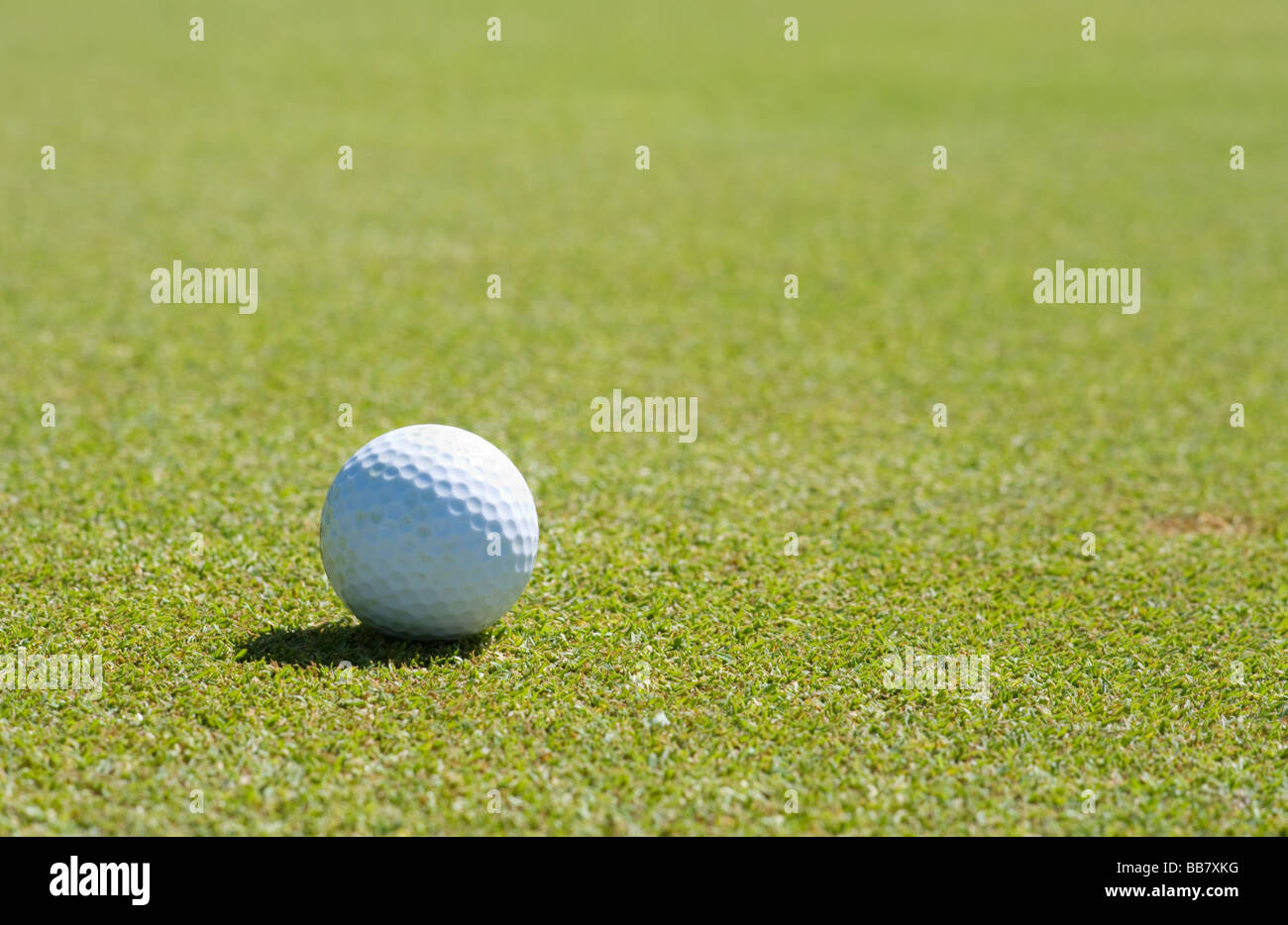 Golf ball on the putting green Stock Photo Alamy