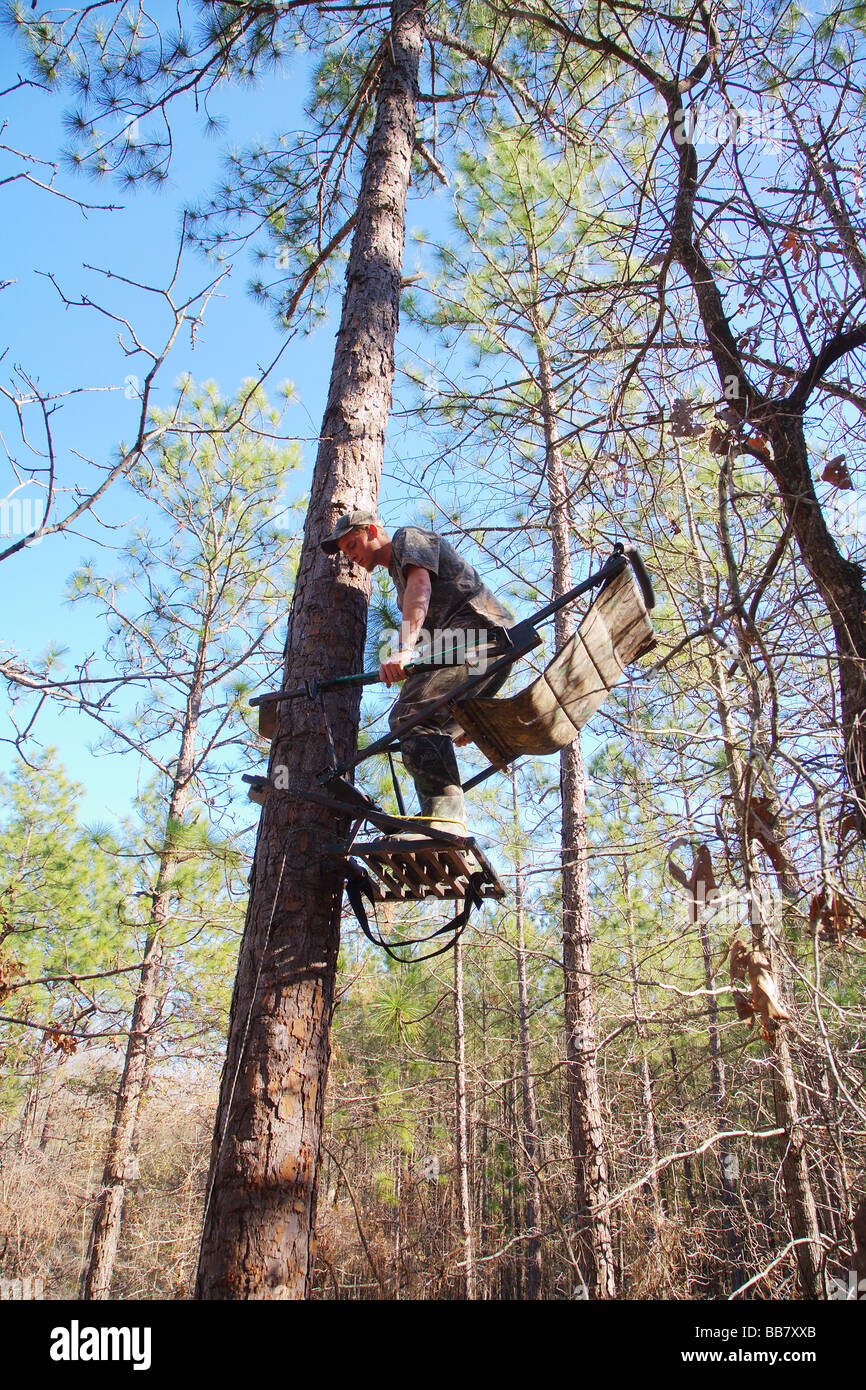 Hunter Climbing Pine Tree With Climbing Tree Stand Mossy Oak Camo