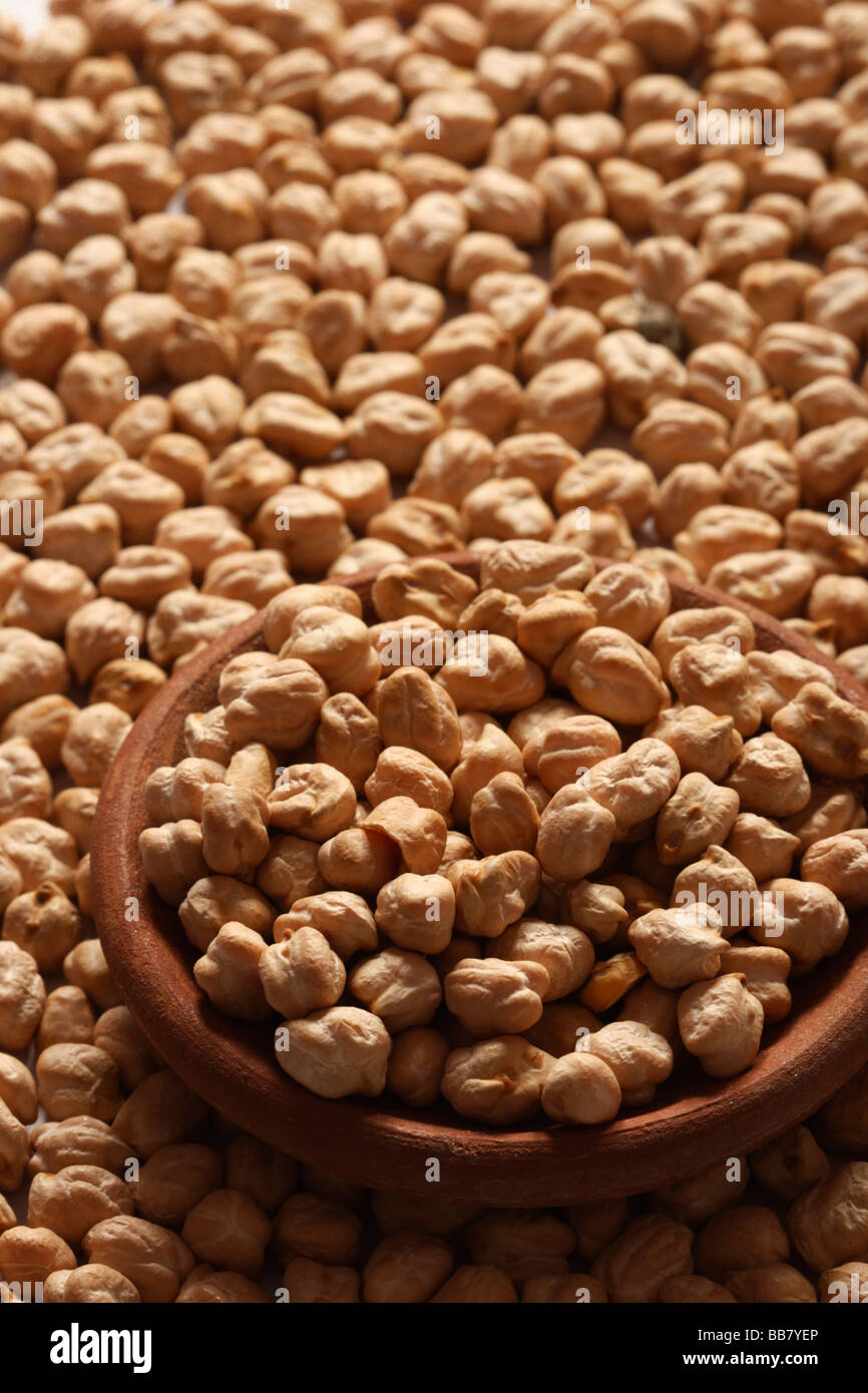 Kabuli chana or Chickpeas are high in protein from Middle East Stock Photo