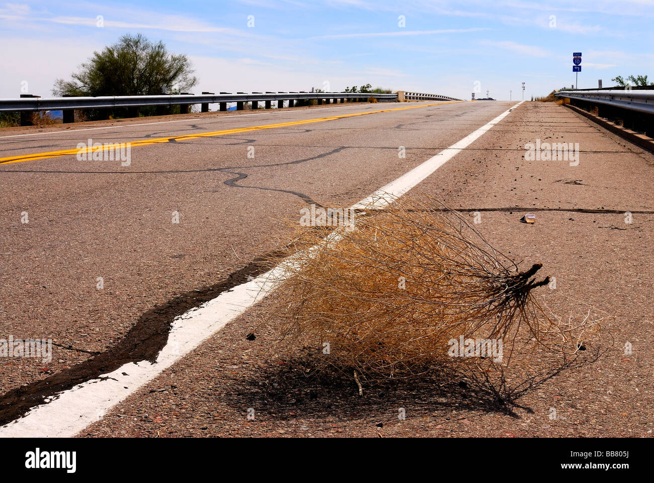 tumbleweed on a desert road Stock Photo