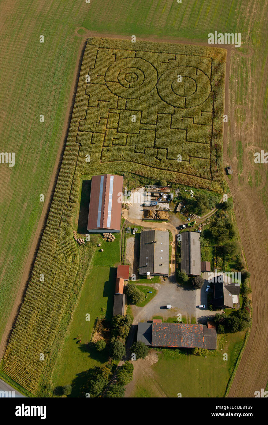 Aerial photo, Hennen, corn maze, corn field, farm, Iserlohn, Maerkischer Kreis, Sauerland, North Rhine-Westphalia, Germany, Eur Stock Photo