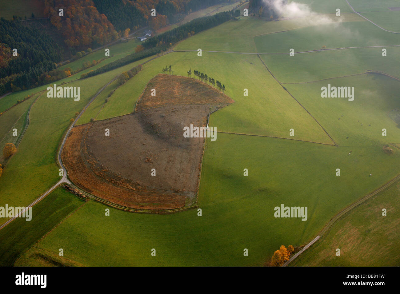 Aerial photo, damages by the Storm Kyrill, morning fog, hills, meadows, pastures, Sauerland valleys, Meschede, Sauerland, North Stock Photo