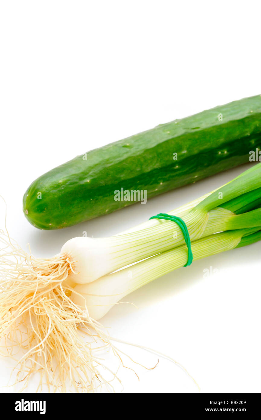 Leek (Allium ampeloprasum) and a Cucumber (Cucumis sativus) Stock Photo