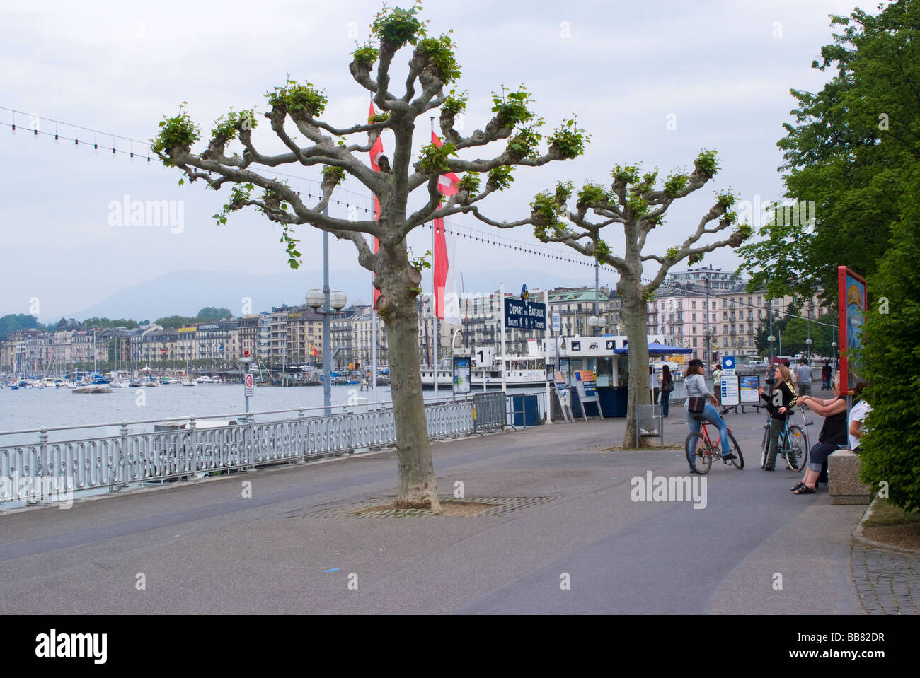 Trees Adorn the Embankment of Lake Geneva with Geneva City Behind Switzerland Geneve Suisse Stock Photo
