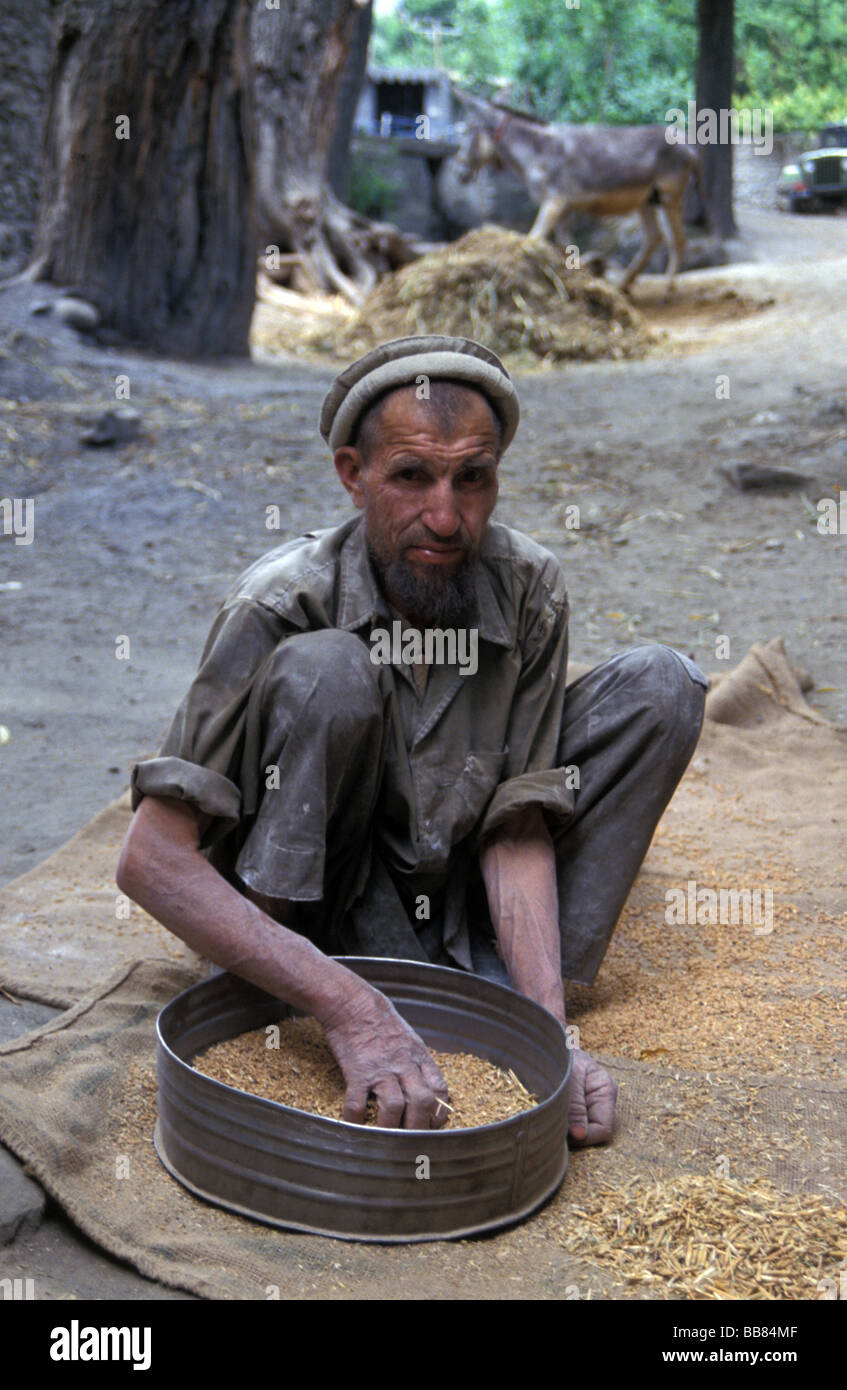 Chitrali pakistani man sorting grain Chitral North West Frontier Province Pakistan Stock Photo