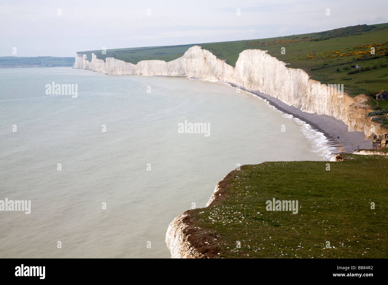 White chalk cliffs Seven Sisters from Birling Gap East Sussex England Stock Photo