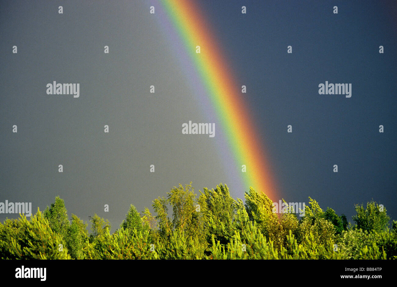 Rainbow after rainfall hires stock photography and images Alamy