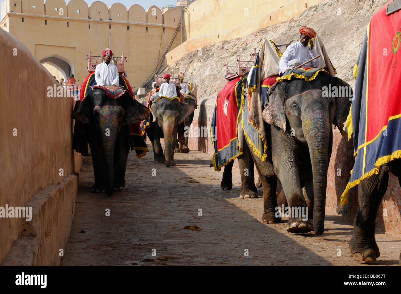 Riding on elephants to the Fort Amber Palace, Amber, Rajasthan, North India, Asia Stock Photo