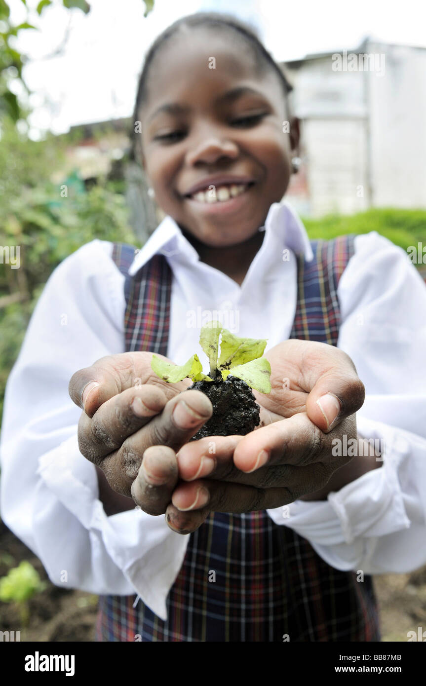 Small lettuce plant, seedling, in the hands of an 11 year old girl, who is being trained in horticulture as part of an urban ag Stock Photo