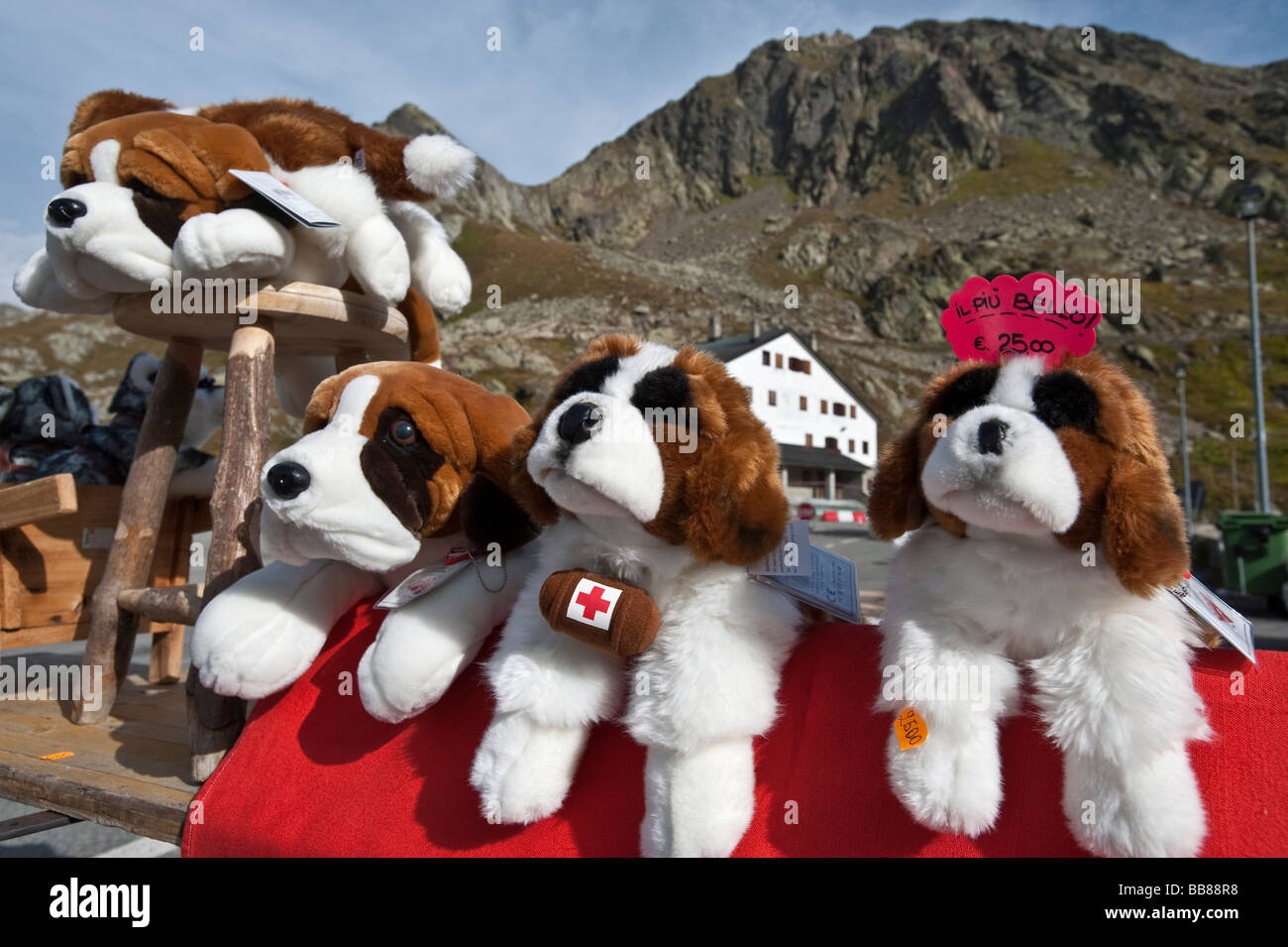Soft toy St. Bernard dogs, souvenirs, Great St Bernard Pass, Valais,  Switzerland Stock Photo - Alamy