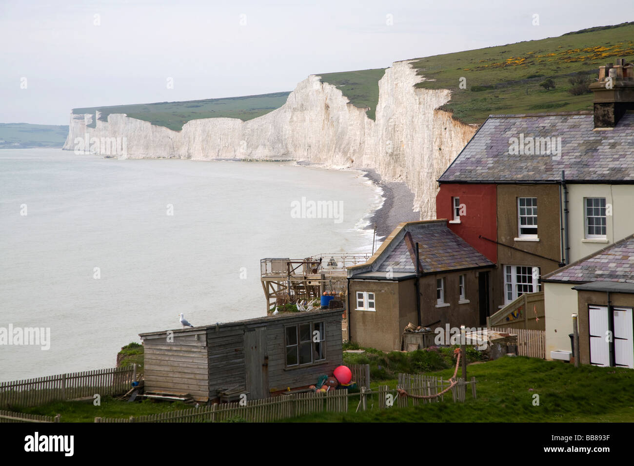 Seven Sisters chalk cliffs Birling Gap, East Sussex, England Stock Photo
