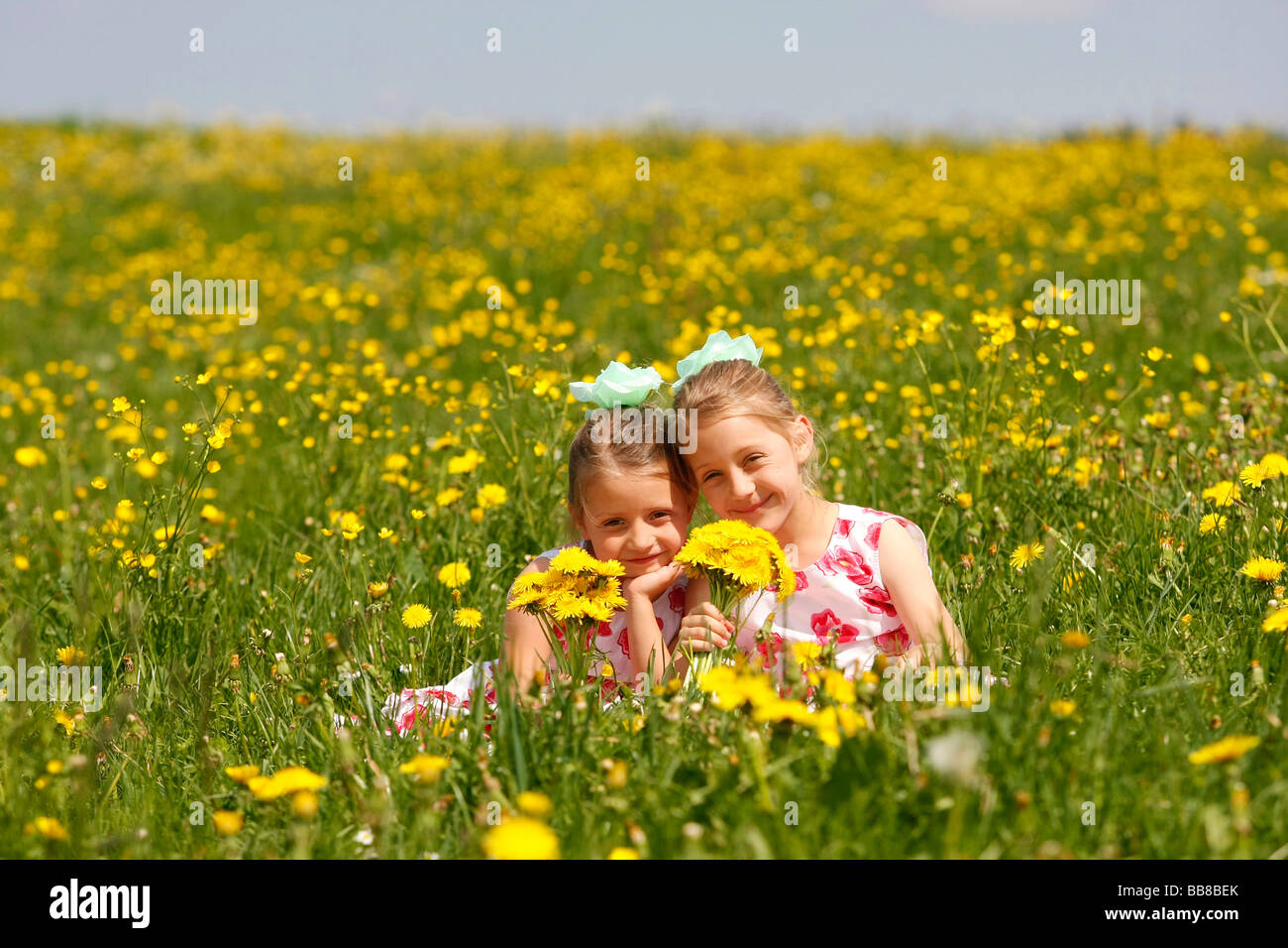 Two girls in a meadow full of dandelions Stock Photo - Alamy