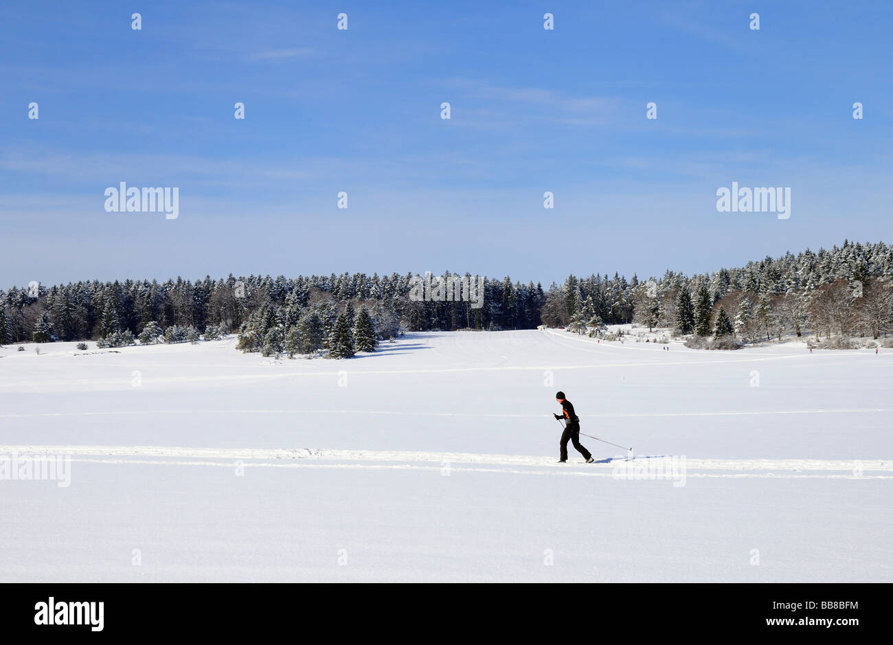 Cross-country skier in a winter landscape near Russberg, Obere Donau Nature Park, Heuberg, Swabian Alb, Baden-Wuerttemberg, Ger Stock Photo