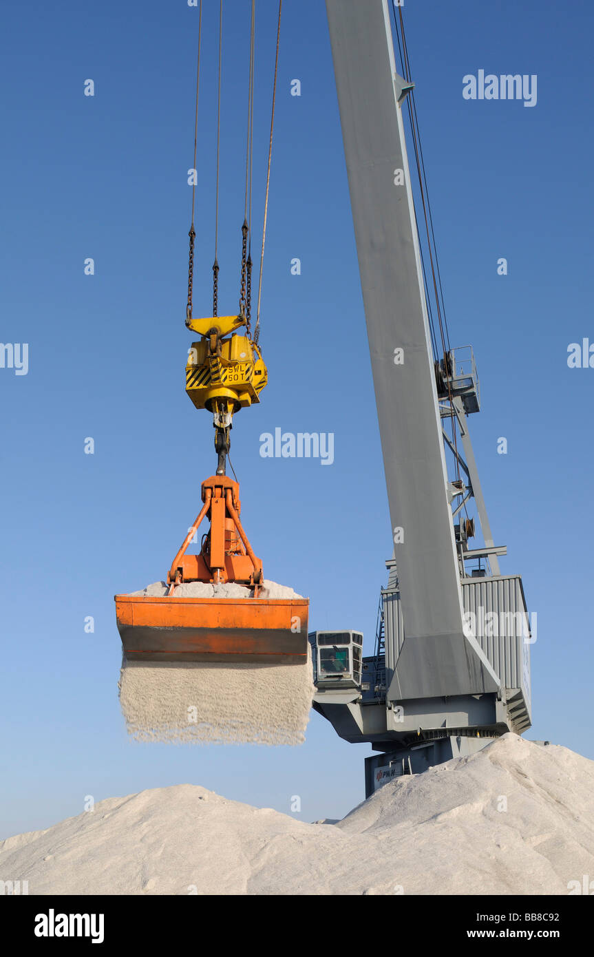 Port of Bonn, bulk cargo handling, revolving crane handling salt, North Rhine-Westphalia, Germany, Europe Stock Photo