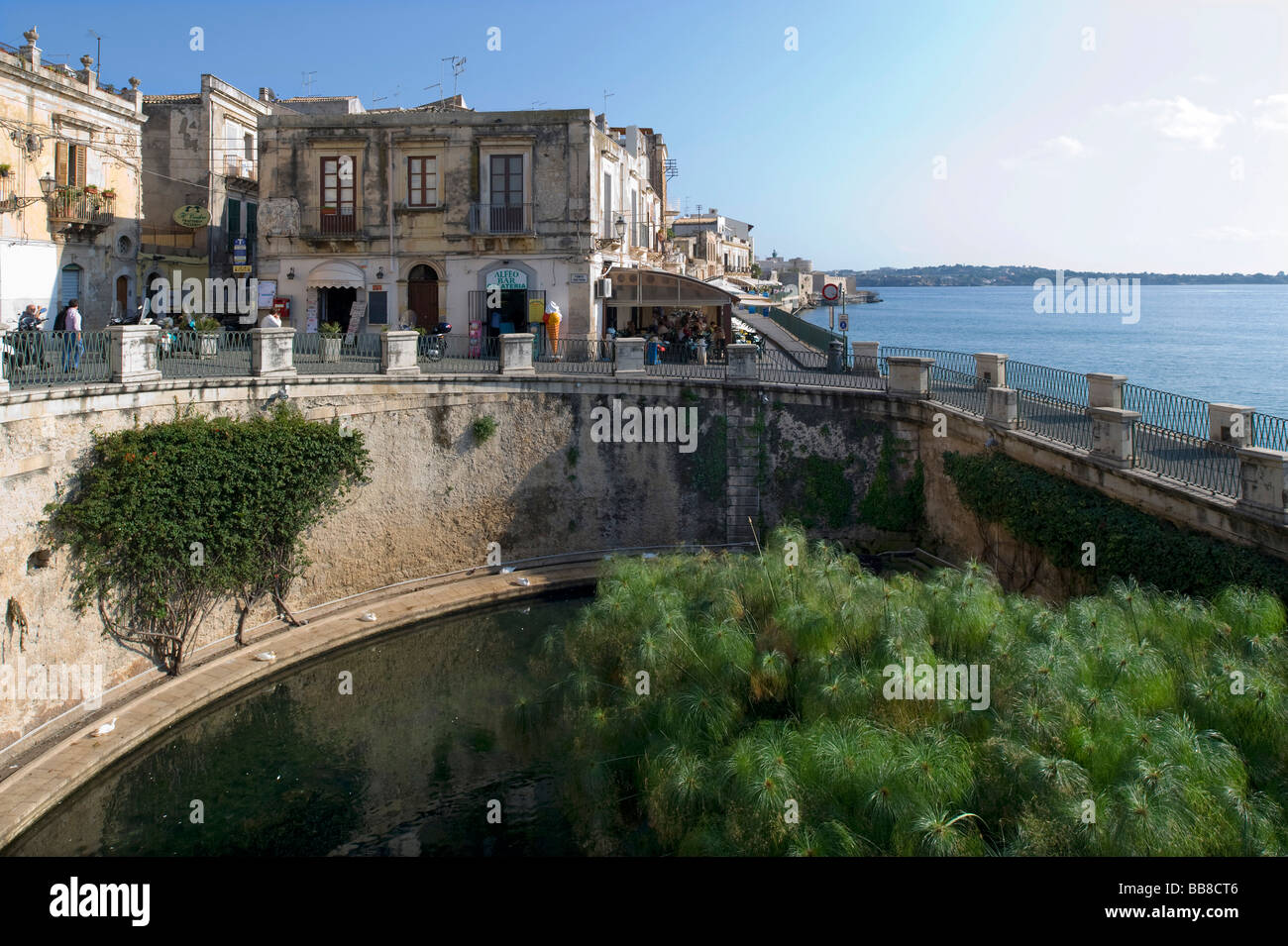 The Fonte Aretusa spring with papyrus plants, Syracuse, Sicily, Italy Stock Photo