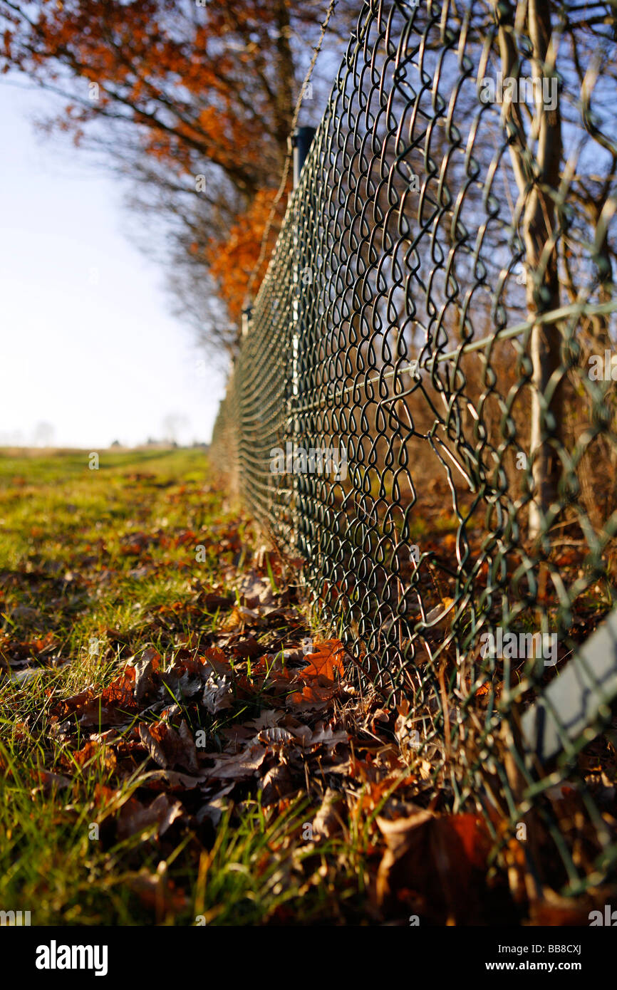 Wire-mesh fence, hole Stock Photo