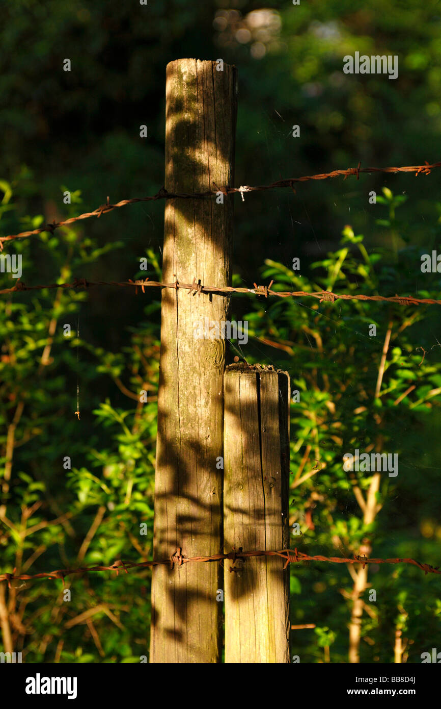 Rusty Barbed or Barb Wire on Fence Post Stock Photo