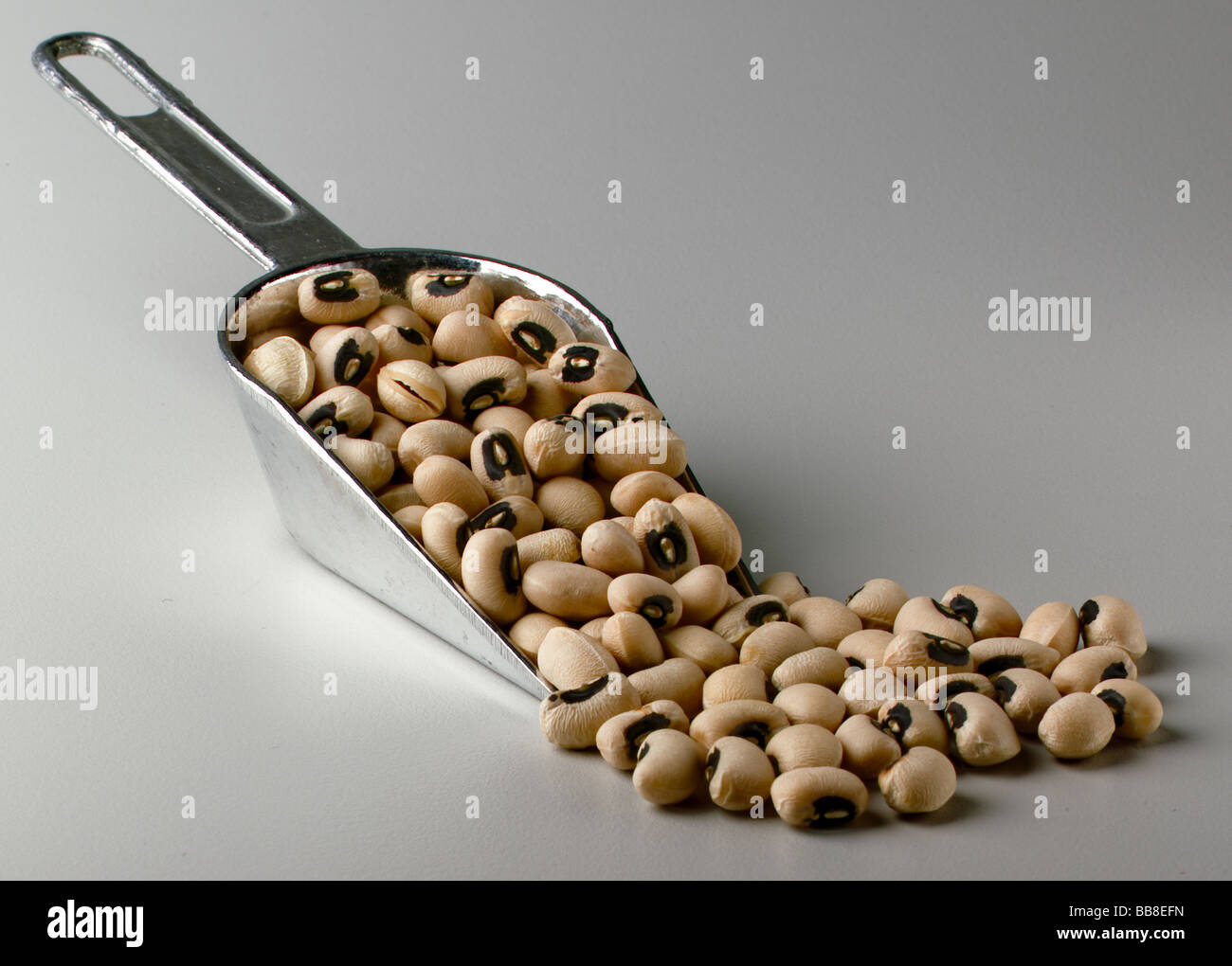 Black eyed beans in metal scoop Stock Photo Alamy
